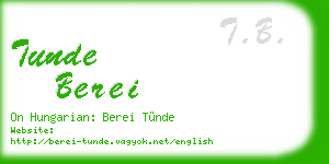 tunde berei business card